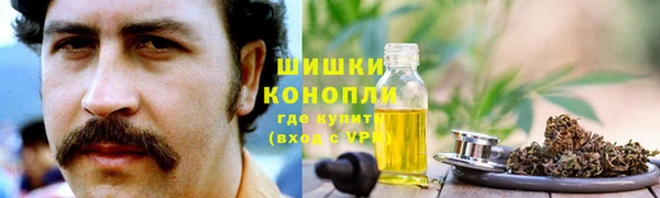 трава Тында